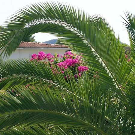 House Апартаменты Нафплион