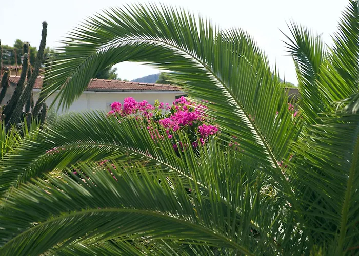 House Apartman Návplio